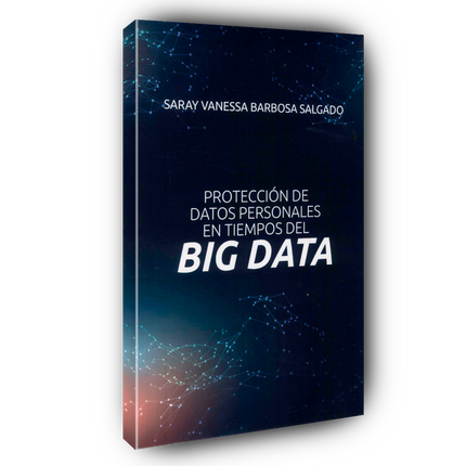 Protección de datos personales en tiempos del Big Data