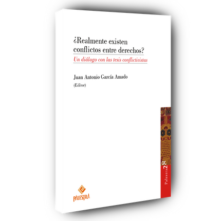 ¿Realmente existen conflictos entre derechos?