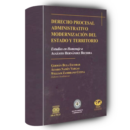 Derecho procesal administrativo. Modernización del Estado y territorio