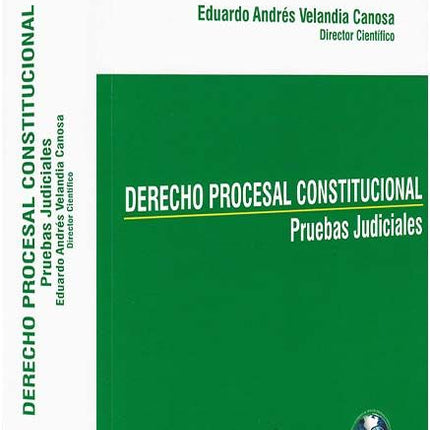 Derecho procesal constitucional. Pruebas judiciales