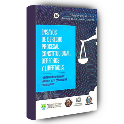 Ensayos de derecho procesal constitucional: derechos y libertades