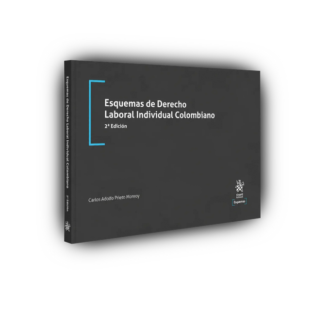 Esquemas de derecho laboral individual colombiano