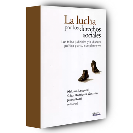 La lucha por los derechos sociales: Los fallos judiciales y la disputa política por su cumplimiento