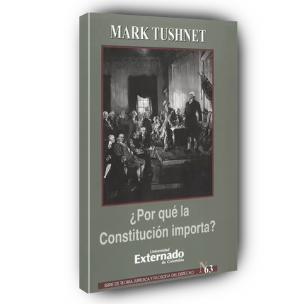 ¿Por qué la constitución importa?