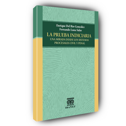 Introducción al derecho. Resumen y sinopsis de principales obras y autores