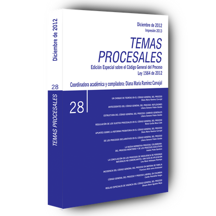 Temas procesales N.° 28