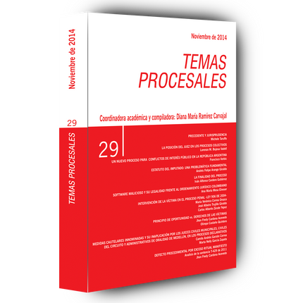 Temas procesales N.° 29