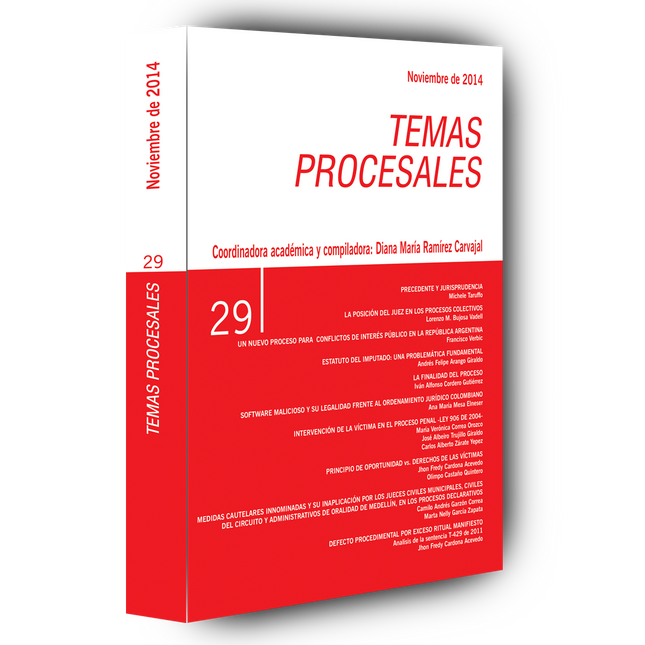 Temas procesales N.° 29