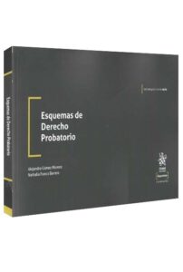 Esquemas de derecho probatorio-libros-jurídicos-lijursanchez-juridica-sanchez